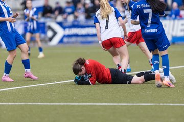 Bild 92 - wBJ Hamburger SV - FC Suederelbe : Ergebnis: 9:0